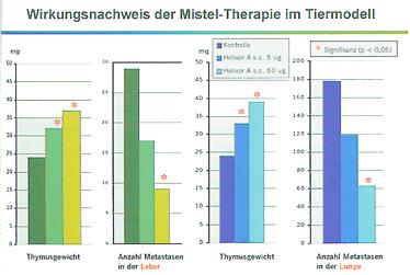 Misteltherapie Krebs